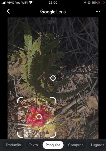 uso Google Lens 2